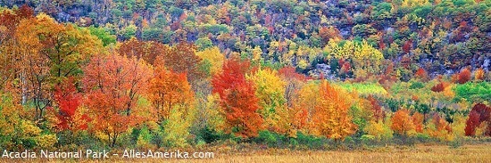 Acadia National Park