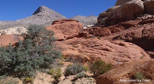 Calico Tanks Trail