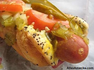 Chicago Hotdog