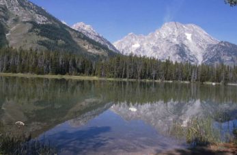 Prachtig vergezicht in Grand Teton NP in Wyoming