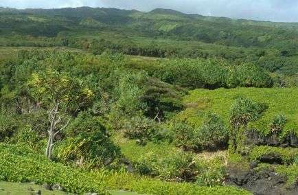 National Park Haleakala in Hawaii