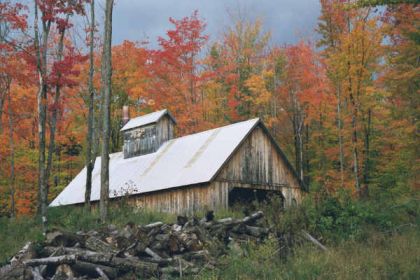 Herfst in Amerika