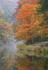 Herfst in Amerika