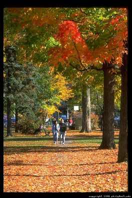 Herfst in Amerika