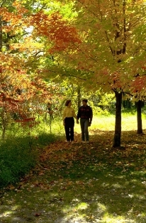 Herfst in Minnesota