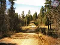 North Rim