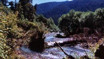 Olympic National Park