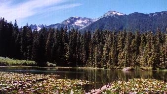 Olympic National Park