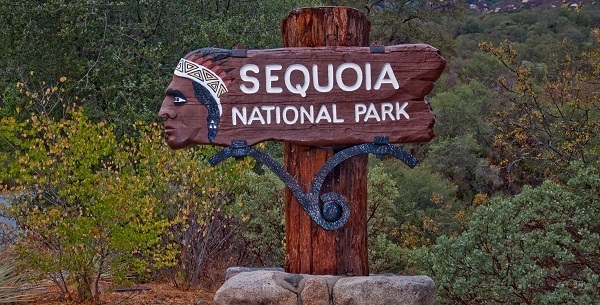 Sequoia bord