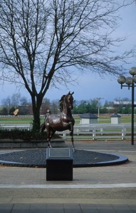 Kentucky Horse Park nabij Lexington