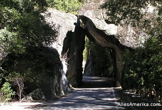 Arch Rock