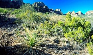 Big Bend NP in Texas