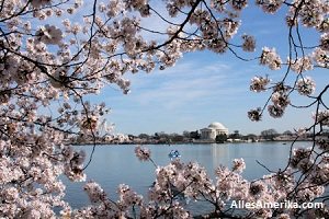 Lente in DC