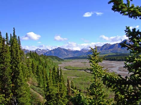 Denali National Park