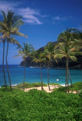 Strand in Hawaii