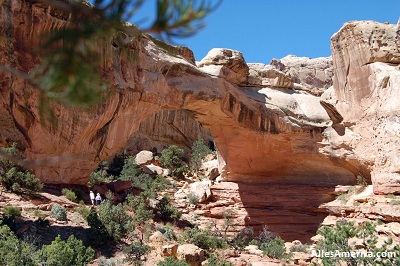 Versterken Modieus Grap Capitol Reef National Park in Utah: zeer uitgebreide informatie, hints & tips Versterken Modieus Grap Capitol Reef National Park in Utah: zeer uitgebreide informatie, hints & tips