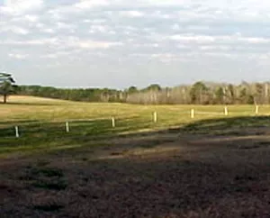 Bij Horshoe Bend