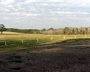 Bij Horshoe Bend