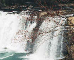 Bij Little River in Alabama