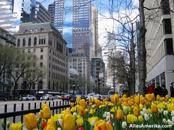 Deel van de Magnificent Mile