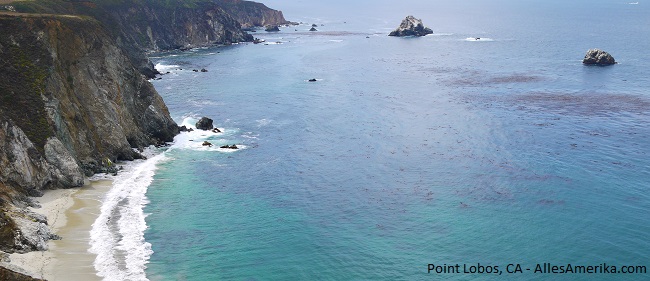 Point Lobos