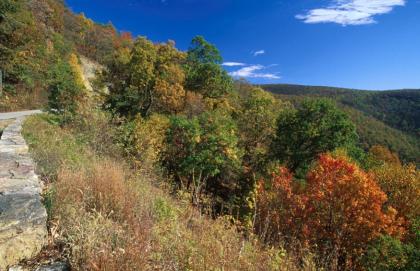 Shenandoah National Park in Virginia