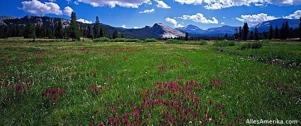 Yosemite National Park