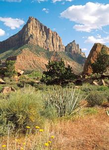 Zion National Park in Utah