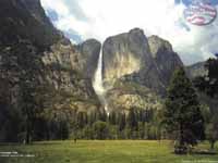 Yosemite National Park